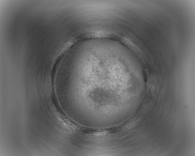 X0000067460306200604101140