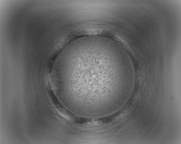 X0000067460307200604101140