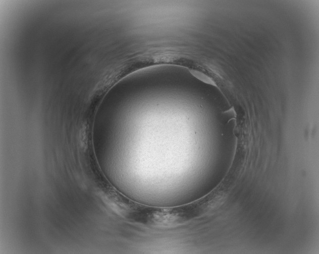 X0000067460311200604101140