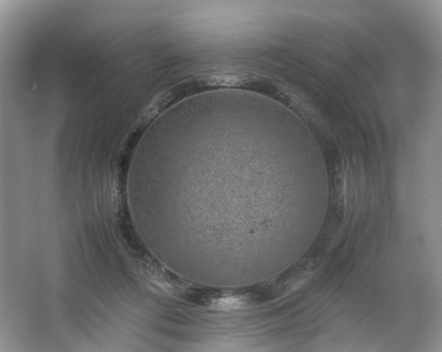 X0000067460312200604101140