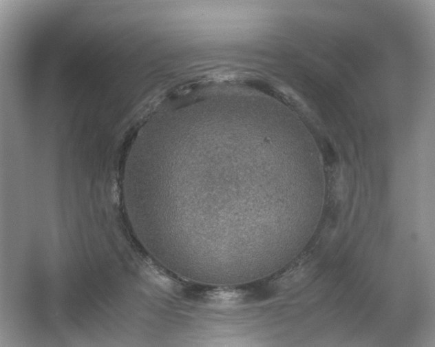 X0000067460313200604101140