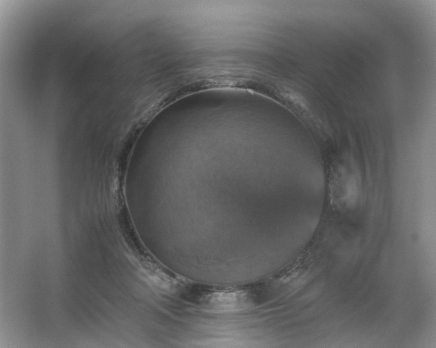 X0000067460314200604101140