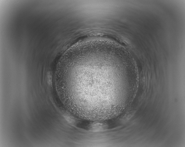 X0000067460315200604101140