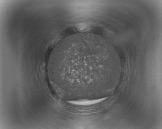 X0000067460319200604101139