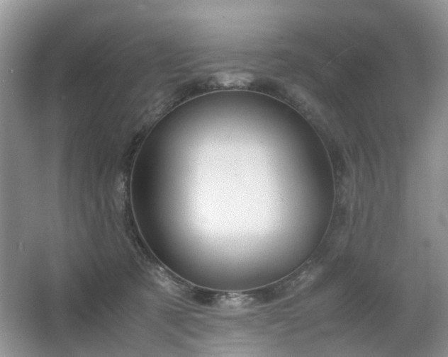 X0000067460321200604101139