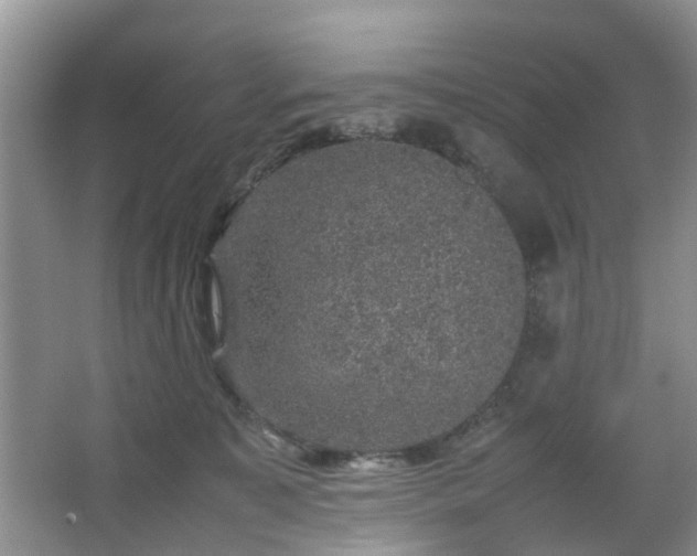 X0000067460323200604101139