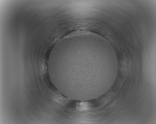 X0000067460324200604101139