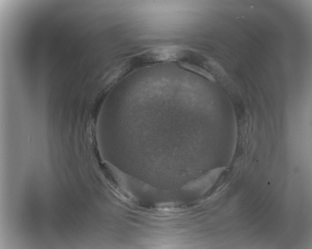 X0000067460325200604101139