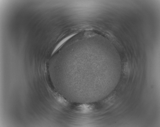 X0000067460326200604101139