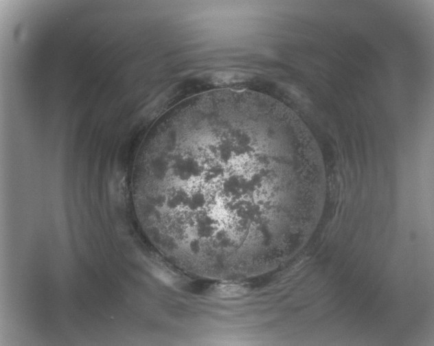 X0000067460327200604101139