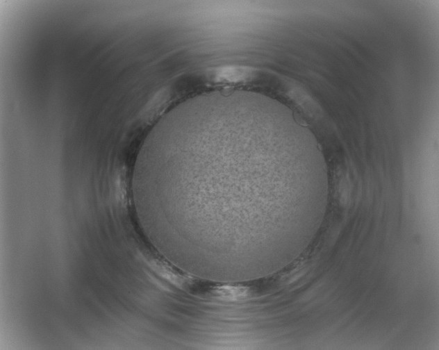 X0000067460328200604101139