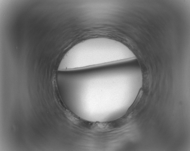 X0000067460329200604101139