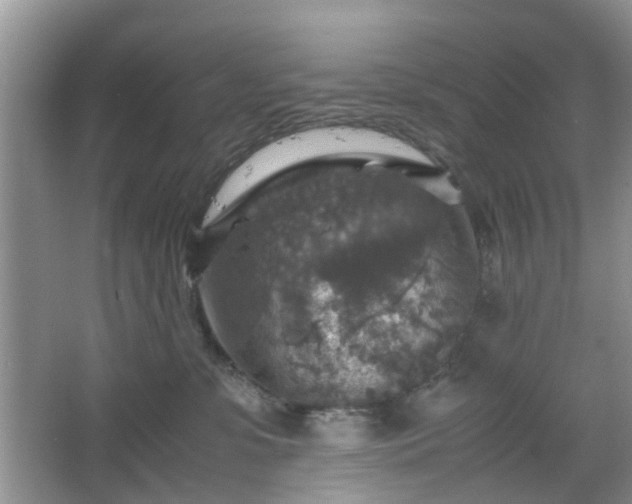 X0000067460331200604101139