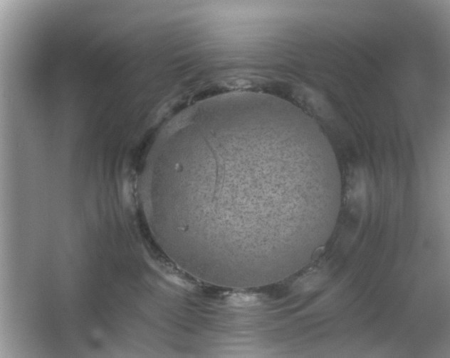 X0000067460332200604101139