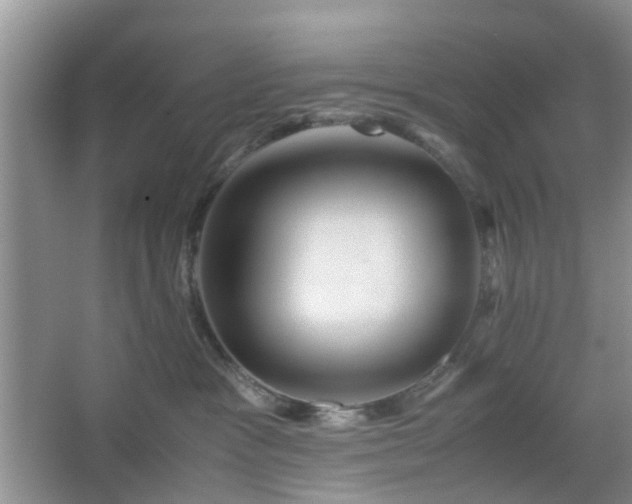 X0000067460333200604101139