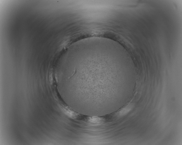 X0000067460336200604101139