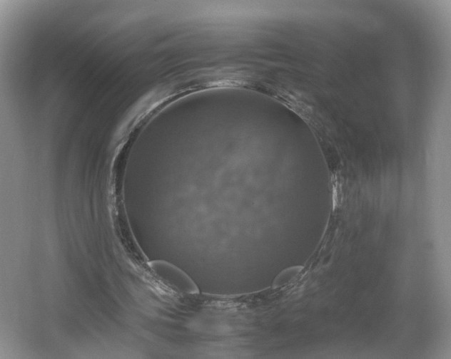 X0000067460339200604101138