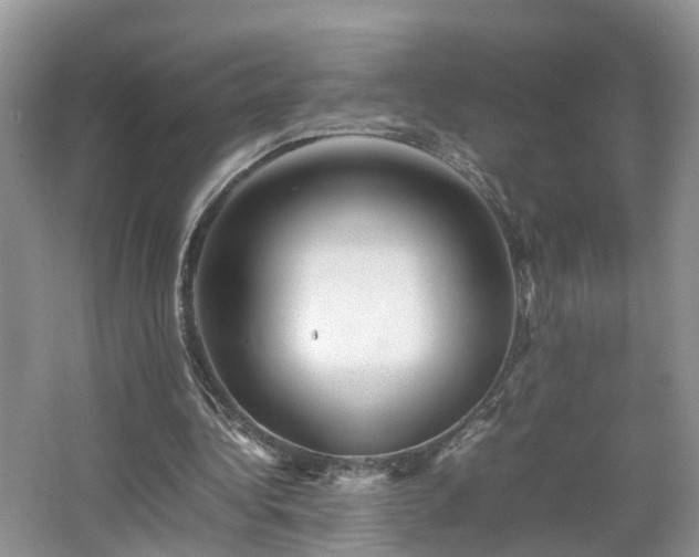 X0000067460340200604101138