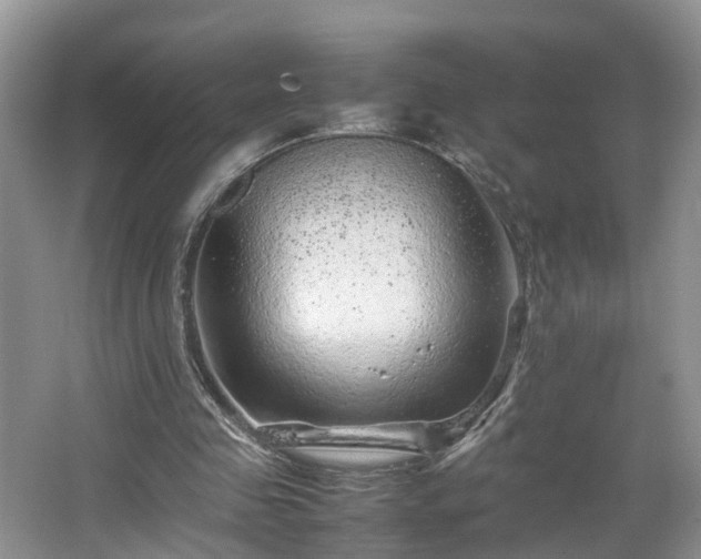 X0000067460341200604101138