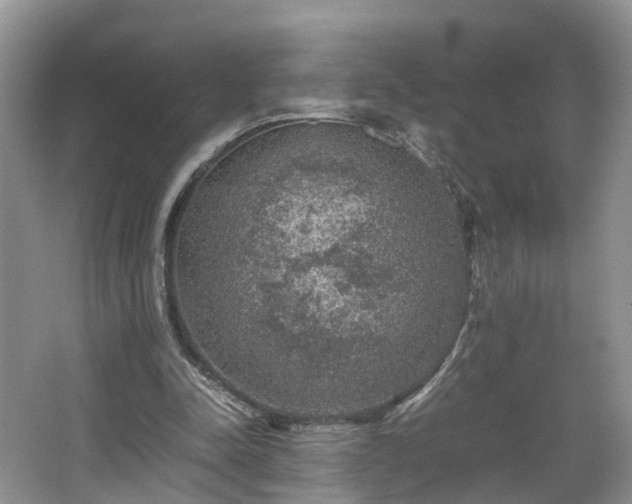 X0000067460342200604101138