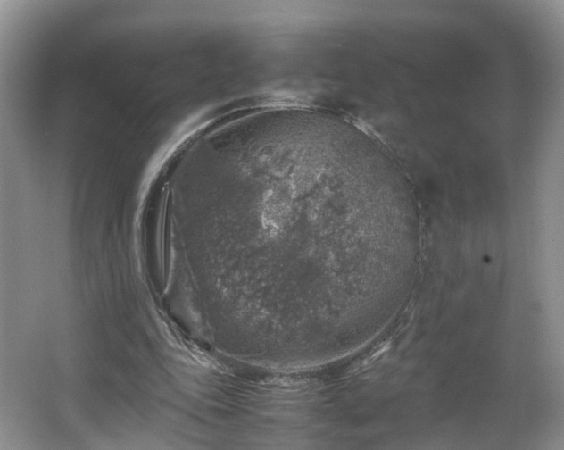 X0000067460343200604101139