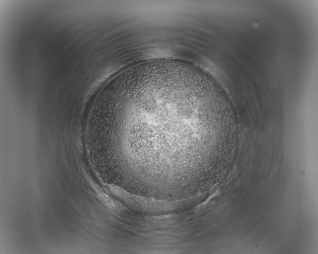 X0000067460345200604101139