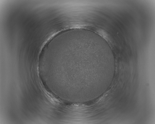 X0000067460346200604101139