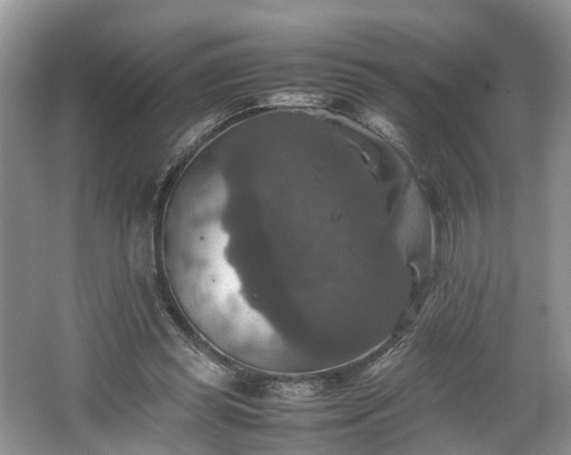 X0000067460349200604101139