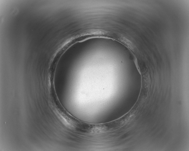 X0000067460350200604101139