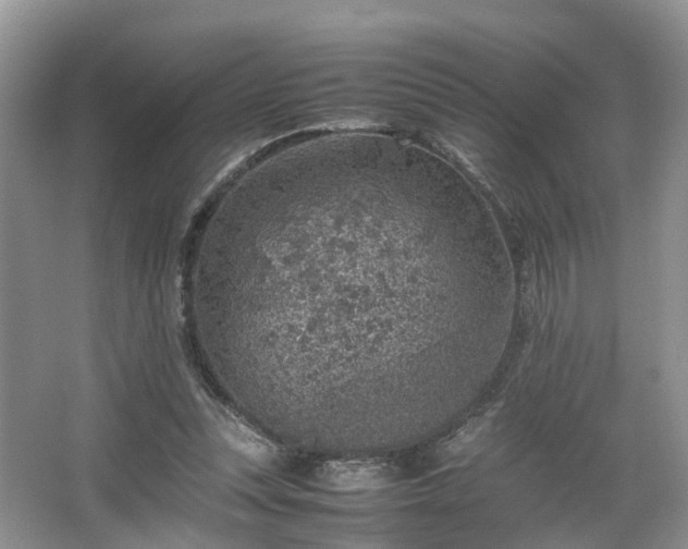 X0000067460351200604101139