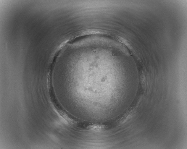 X0000067460352200604101139