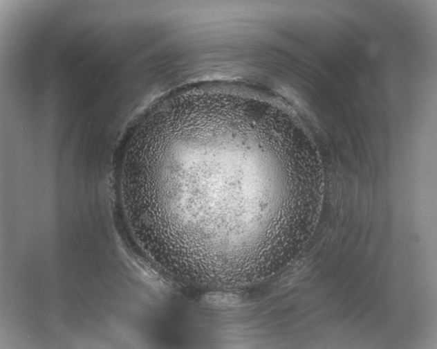 X0000067460354200604101139