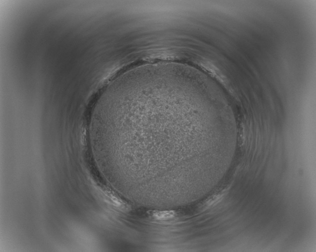 X0000067460355200604101139