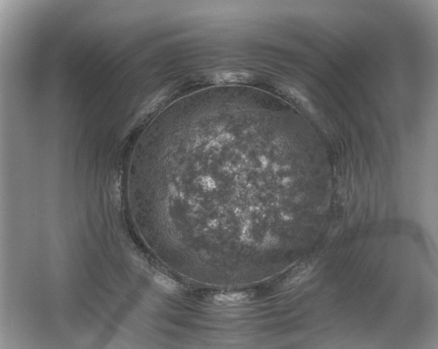 X0000067460357200604101139