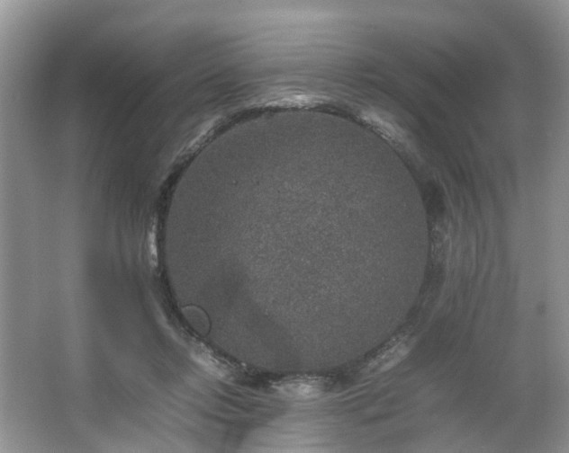 X0000067460358200604101139