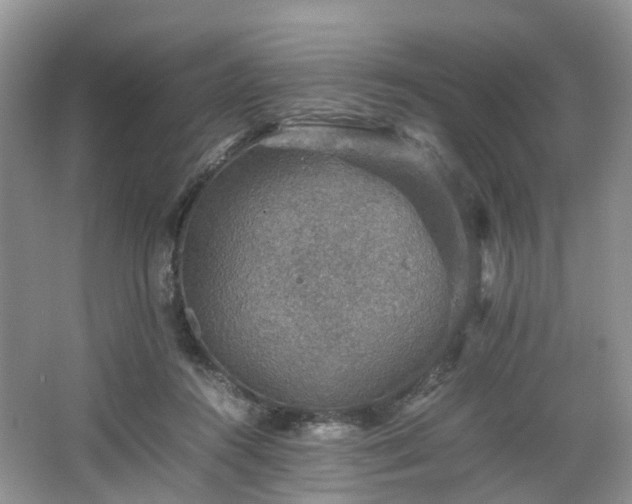 X0000067460360200604101139