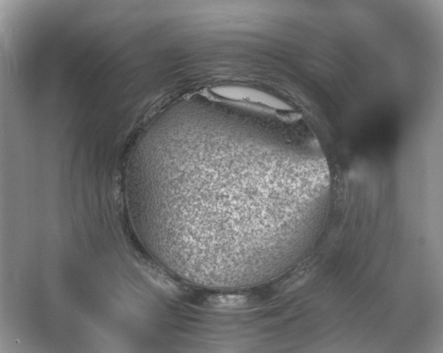 X0000067460361200604101139