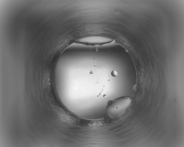 X0000067460362200604101139