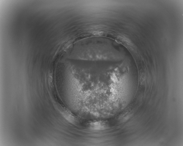 X0000067460365200604101139