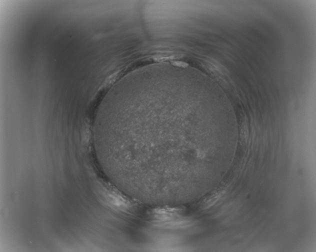 X0000067460367200604101139