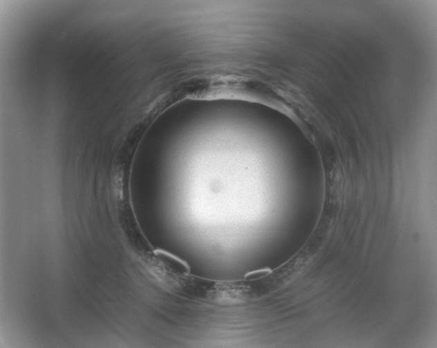 X0000067460368200604101139