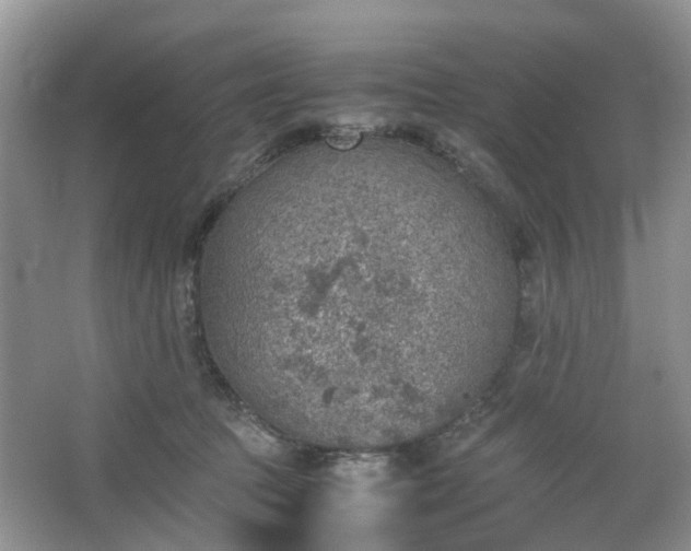 X0000067460369200604101139