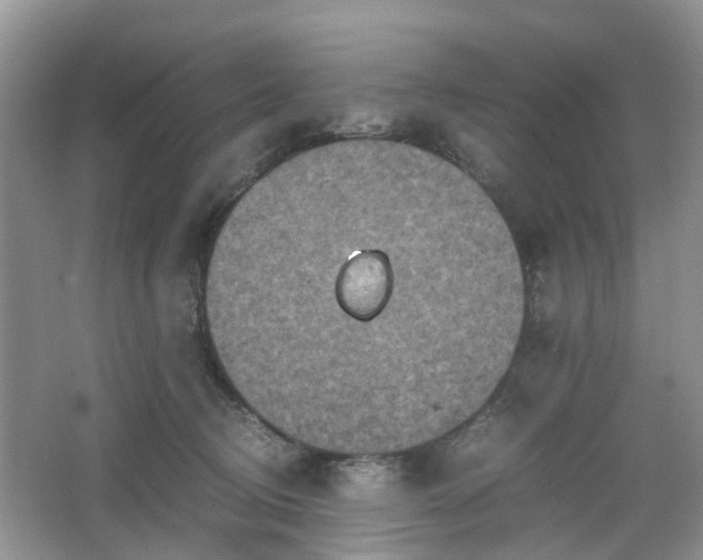 X0000067460370200604101139