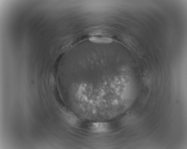 X0000067460371200604101139