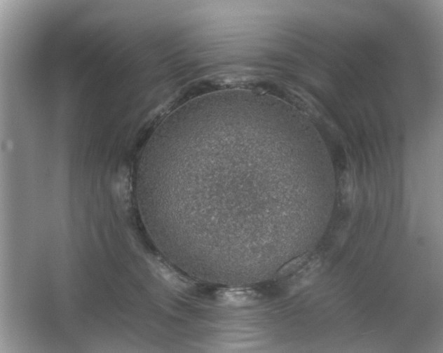 X0000067460372200604101139