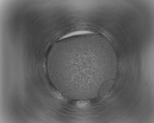 X0000067460373200604101139