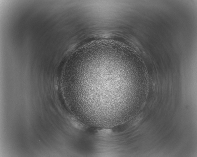 X0000067460374200604101139