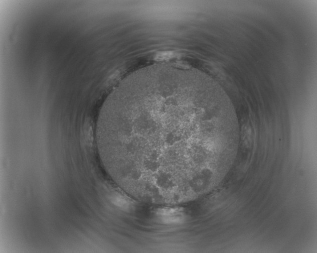 X0000067460375200604101139