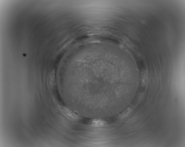 X0000067460376200604101139