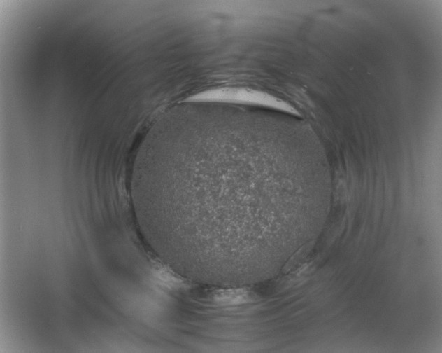 X0000067460377200604101139